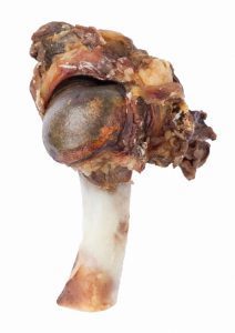 New-Zealand-Lamb-Drumstick_800px-212x300.jpg
