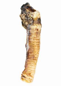 New-Zealand-Lamb-Trachea_800px-212x300.jpg