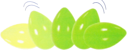 image2.gif